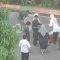 siswa sd terjatuh