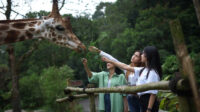 taman safari indonesia