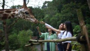 taman safari indonesia