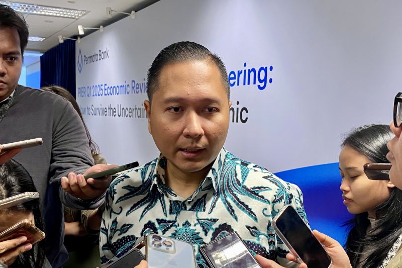 Chief Economist Permata Bank Josua Pardede