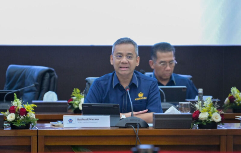 Wakil Menteri Keuangan, Suahasil Nazara