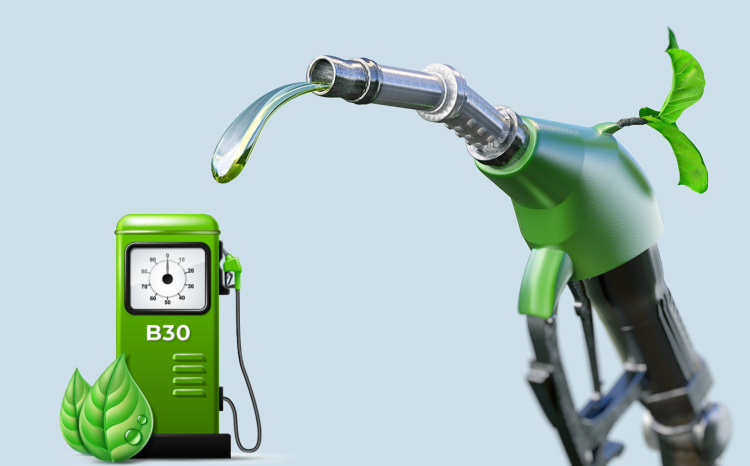 biodiesel