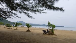 Pantai Gemah Tulungagung