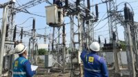 pln