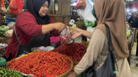 pedagang cabai