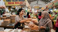 pedagang telur