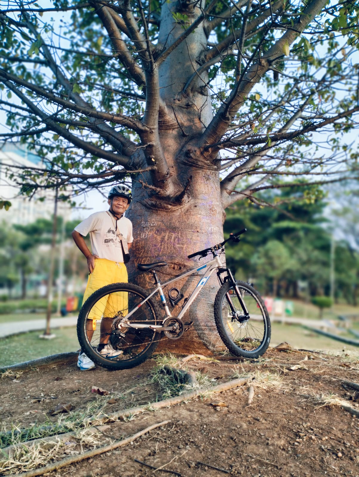 joko intarto