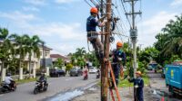 PLN